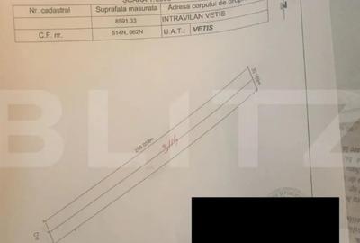 Teren de 8600 mp, în Vetiș - 1