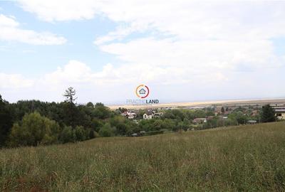Teren intravilan cu PUZ si PUD 2 loturi - 3