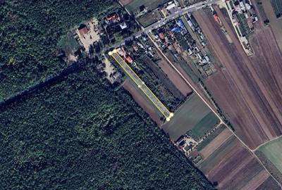 Teren agricol intravilan de 5000 mp, în Malu Spart - 2