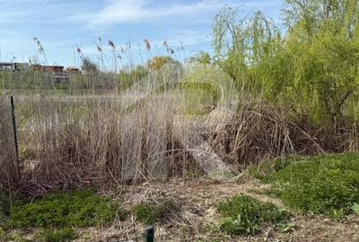 Teren Construcții intravilan de 883 mp, în Moara Vlăsiei - 9