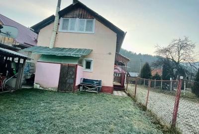 Vanzare - 3