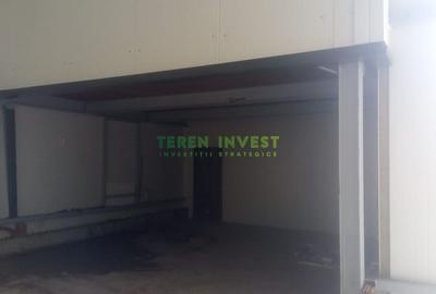 Hala depozitare -  Cernica  Theodor Pallady - 12