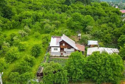 Casa, 4 camere, 125000 euro, Nehoiu , 120 Mp, 2000 mp teren. - 32