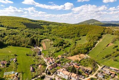 Teren agricol extravilan de 11306 mp, în Malnaș-Băi - 3