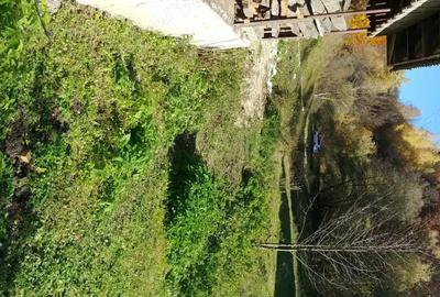 Casă cu 3 camere cu Teren 140000 Mp în Preluca Nouă - 5