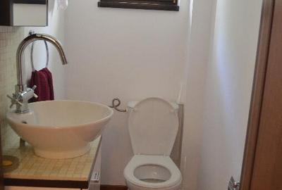 Vila de vacanta situata in Predeal-Cioplea - 8