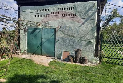 Casă individuală cu 2 camere cu Teren 1836 Mp în Beclean - 10