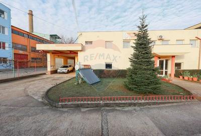 Spațiu industrial, de 1,407.1999511719 mp, în Vest - 24
