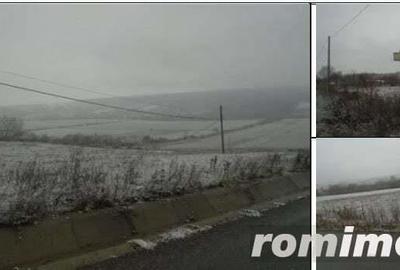 Teren Extravilan Corbita, ID: R1966425 - 4