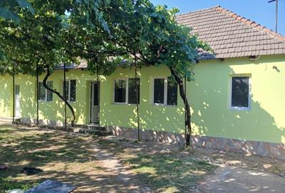 Casă de vânzare în Pauliș – teren 1972 m² - 1