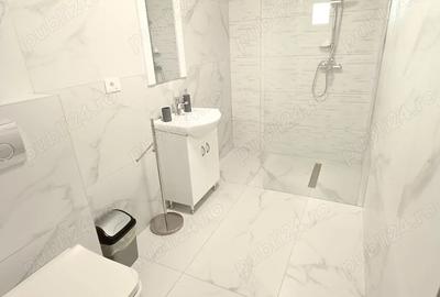 Afacere Vand Schimb Pensiune Vila Noua 400 mp Baile 1 Mai Baile Felix - 6