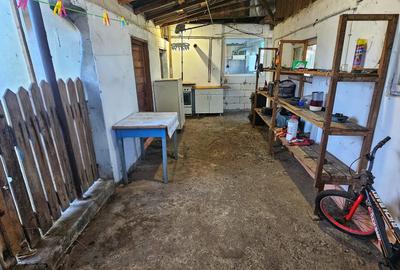 Casă 4 camere, garaj + spațiu comercial |  Sat Nedelea - 25