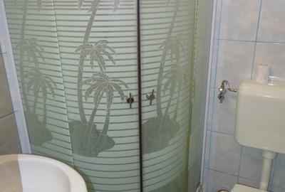 Inchiriez garsoniera in Florilor cu baie proprie disponibila imediat - 5