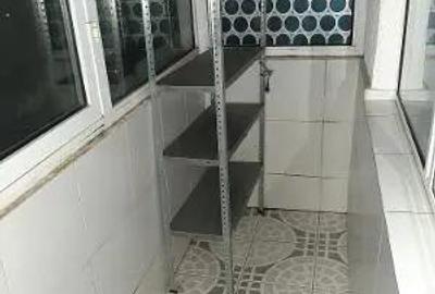 Nerva traian-Anastasie Panu - 4