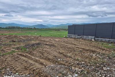 Teren de 1450 mp, în Tărlungeni - 4