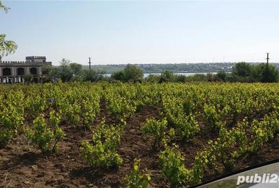 Teren de 2400 mp, în Braniștea - 1