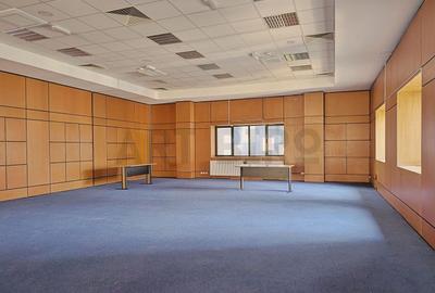 Birou, de 280 mp, în P-ța Victoriei