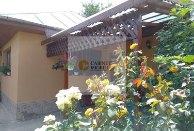 Casă individuală cu 3 camere cu Canalizare în Hănțești - 30