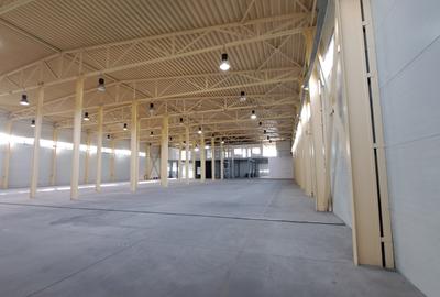 HALA DEPOZITARE CU ETAJ PARTIAL PENTRU BIROURI AMPLASAMENT: OTOPENI - 43