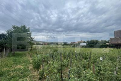 Teren intravilan 1000 mp cu ie?ire la drumul de centura ?? - 2