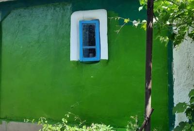 Vand casa in Teleorman, sat Albeni - 6