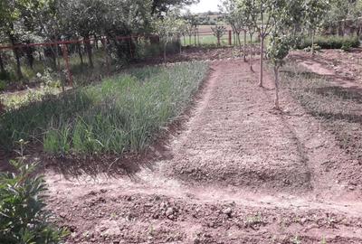 Casă cu 3 camere cu Teren 100 Mp în Gălești - 3