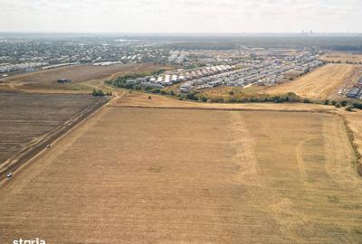 Teren de 16500 mp, în Tunari - 13