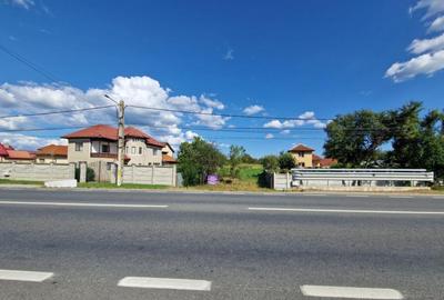 Teren intravilan 2844 mp in Sat Iasi-Gorj, Com. Dragutesti - 1