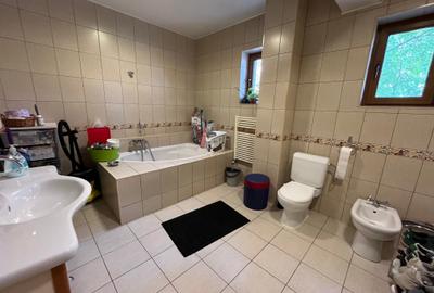 Vila individuala / 10 camere + / Valea Oltului / 620mp utili / 2190mp curte - 9