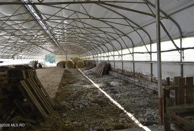 Bogati - Glimbocel, Ferma Zootehnica, Cladiri 1996 mp, Teren 4.89 ha - 5