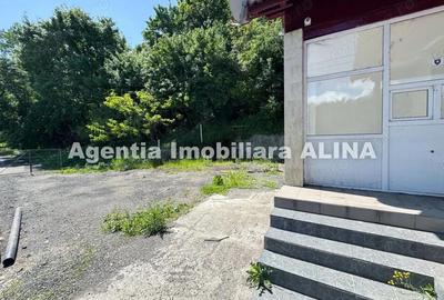 Spatiu comercial spre iesire din Loc. Deva (spre Mintia) zona Izvorul Decebal, Jud. Hunedoara. - 8