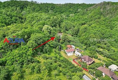 Casă de vânzare la liziera pădurii - Comuna Bogați, Argeș - 3