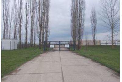 Spațiu industrial, de 91,400 mp, în Pădureni (Jebel) - 2