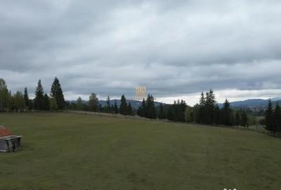 Teren de 16813 mp, în Fundu Moldovei - 11