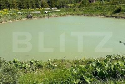 Conac Modern in Inima Naturii, Horodnicu de Sus, Radauti - 5