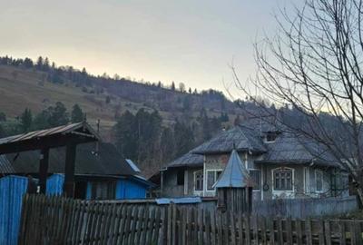 Casă cu 2 camere în Pârâul Pântei - 4