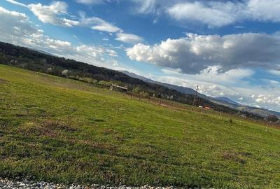 Teren de 4600 mp, în Central