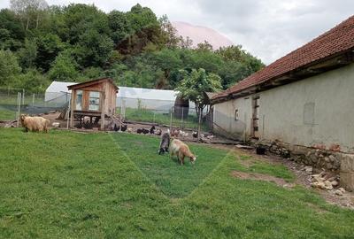 Vanzare casa  4 camere-microferma, cu panouri fotovoltaice - 22
