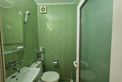 Garsoniera renovat ultracentral -Piata Alba Iulia -Matei ... - 2