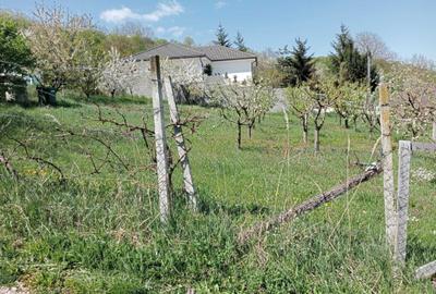 Teren de 600 mp, în Exterior Vest - 2