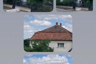 Casa de vanzare in Ta?nad ideala pentru locuit sau investi?ie turistica - 1