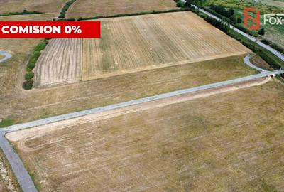 COMISION 0% Teren industrial cu utilitati, acces TIR - Mosnita - 3