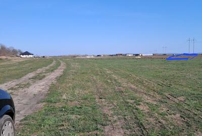 Spațiu comercial, în Sacoșu Turcesc - 5