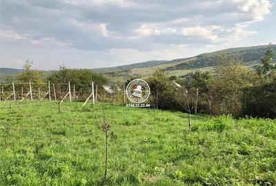 Teren pentru constructii case de vanzare Iasi, Mogosesti, - 18