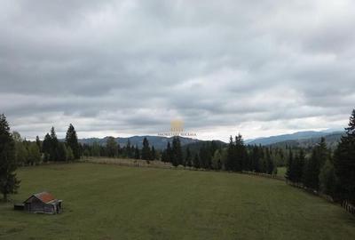Teren 2804 mp, la munte! In Bucovina Fundu Moldovei! - 3