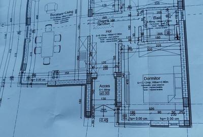 Casa parter 3 camere, dressing, curte 375 mp - 3