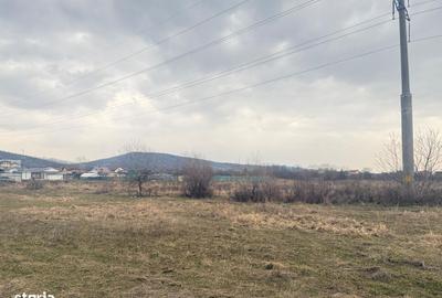 Spațiu comercial, în Viforâta - 11