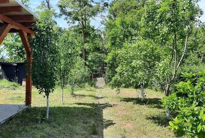Casă cu Teren 450 Mp în 3 Insule - 2