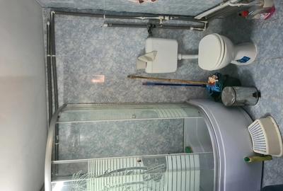 Vand casa la curte cu imbunatatiri - 7