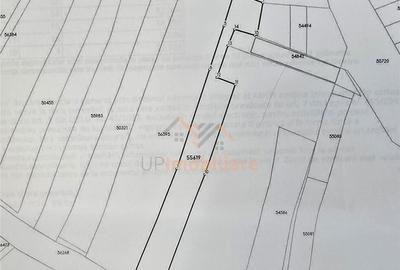 TEREN INTRAVILAN | 4300 MP | HIDISELUL DE SUS | BIHOR - 6